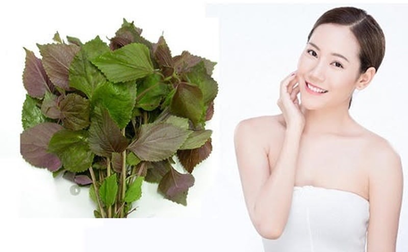 4 cách nấu nước lá tía tô hỗ trợ giảm cân, đẹp da và tốt cho sức khỏe- Ảnh 1.