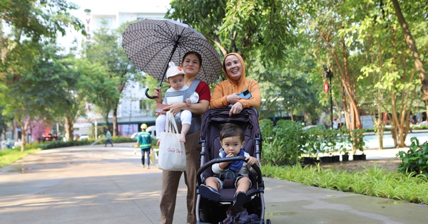 TPHCM duy trì các công trình cảnh quan trên đất chưa triển khai dự án