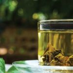 Cách dùng lá dâu tằm cải thiện giấc ngủ