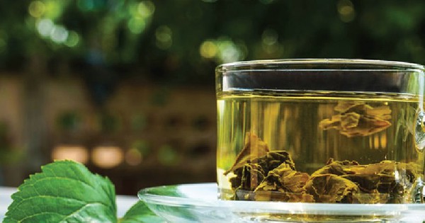 Cách dùng lá dâu tằm cải thiện giấc ngủ