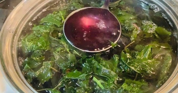 4 cách nấu nước lá tía tô hỗ trợ giảm cân, đẹp da và tốt cho sức khỏe