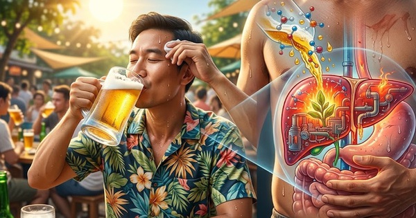 Thường xuyên uống bia có thể làm tổn thương gan và yếu sinh lý