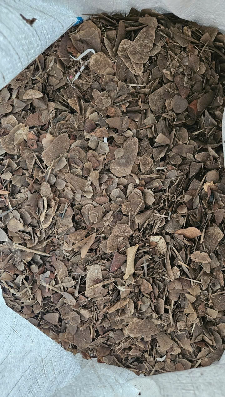 Buôn bán gần 900kg vảy tê tê cực kỳ quý hiếm, lĩnh án 8 năm tù- Ảnh 2.