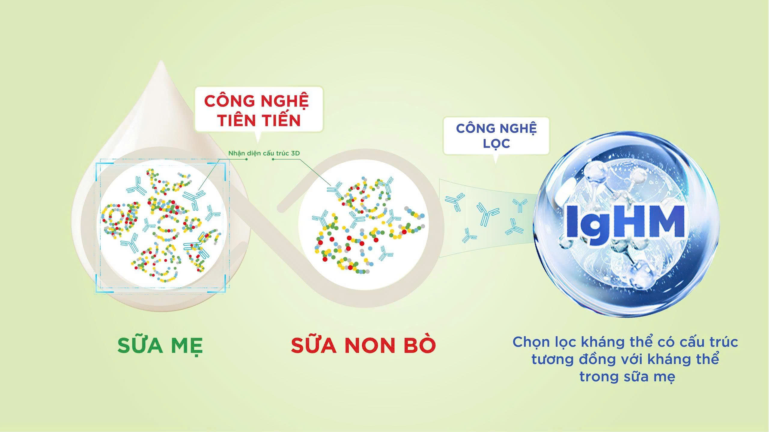 IgHM - hướng tiếp cận mới trong dinh dưỡng miễn dịch- Ảnh 1.