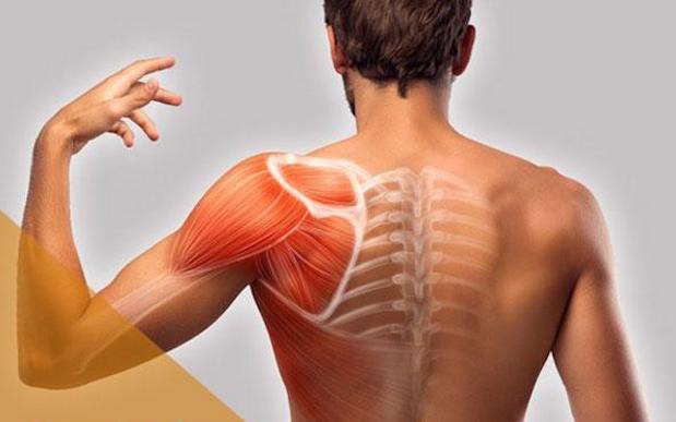 Đau vai, hạn chế cử động tay cảnh giác với đông cứng khớp vai