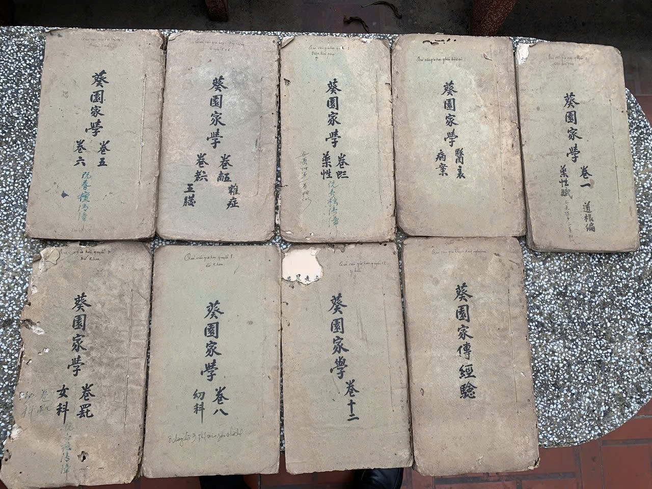 'Quỳ viên gia học' – viên ngọc quý của Đông y Việt Nam- Ảnh 3.