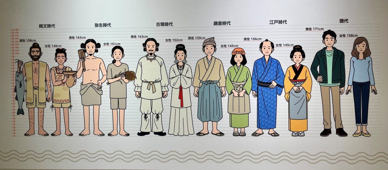 Khám phá chấn động về DNA có thể viết lại lịch sử Nhật Bản- Ảnh 2. Khám phá chấn động về DNA có thể viết lại lịch sử Nhật Bản- Ảnh 2.