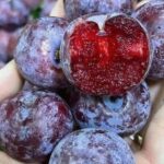 Quả mận có tốt không và những ai nên ăn mận?