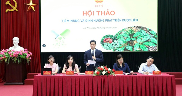 Tiềm năng và định hướng phát triển dược liệu nâng tầm cây thuốc Việt