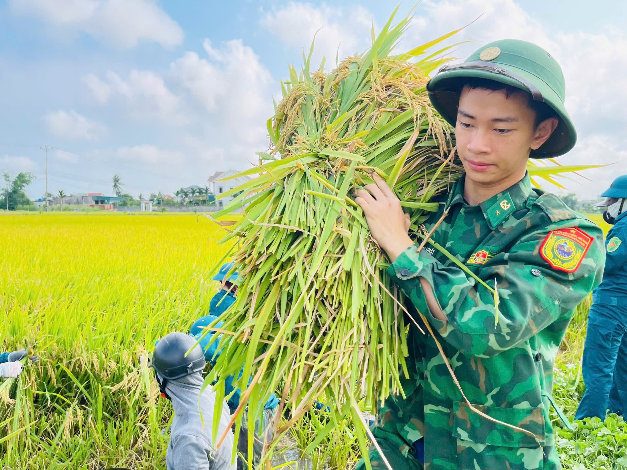 Công an, bộ đội dầm mưa giúp dân cứu lúa sau dông lốc ở Nghệ An
- Ảnh 4. Công an, bộ đội dầm mưa giúp dân cứu lúa sau dông lốc ở Nghệ An
- Ảnh 4.