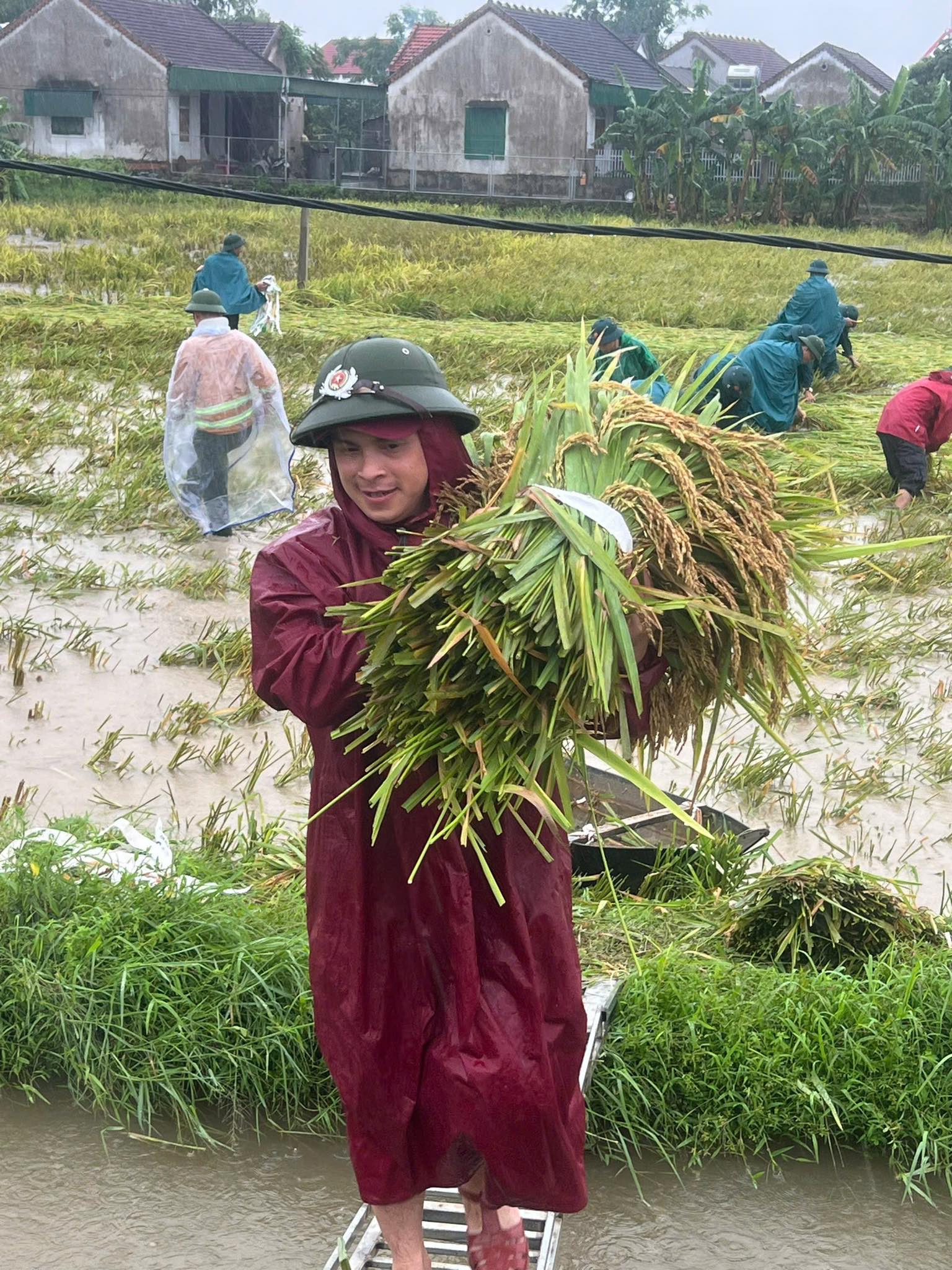 Công an, bộ đội dầm mưa giúp dân cứu lúa sau dông lốc ở Nghệ An
- Ảnh 5. Công an, bộ đội dầm mưa giúp dân cứu lúa sau dông lốc ở Nghệ An
- Ảnh 5.
