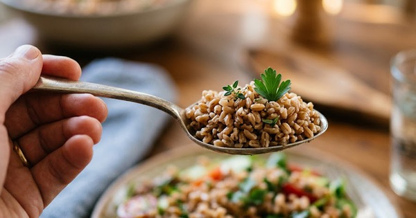 Hạt farro là gì và 5 lý do nên ăn nhiều hạt farro