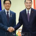 Thủ tướng Lê Minh Hưng gặp Tổng thống Philippines