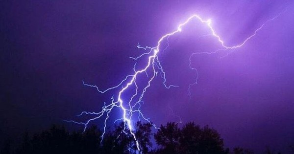 Người đàn ông bị sét đánh tử vong khi đang cưa cây