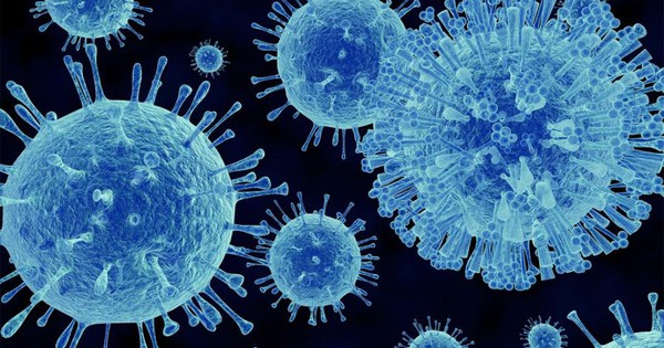 Hơn 1.700 người bị cách ly trên du thuyền sau khi 1 trường hợp tử vong do nghi nhiễm norovirus