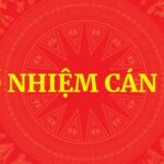 Điều động, bổ nhiệm Trợ lý Thủ tướng và Trợ lý Phó Thủ tướng Thường trực Chính phủ