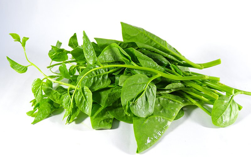 5 vị thuốc quen thuộc giúp giảm nóng trong, táo bón mùa hè