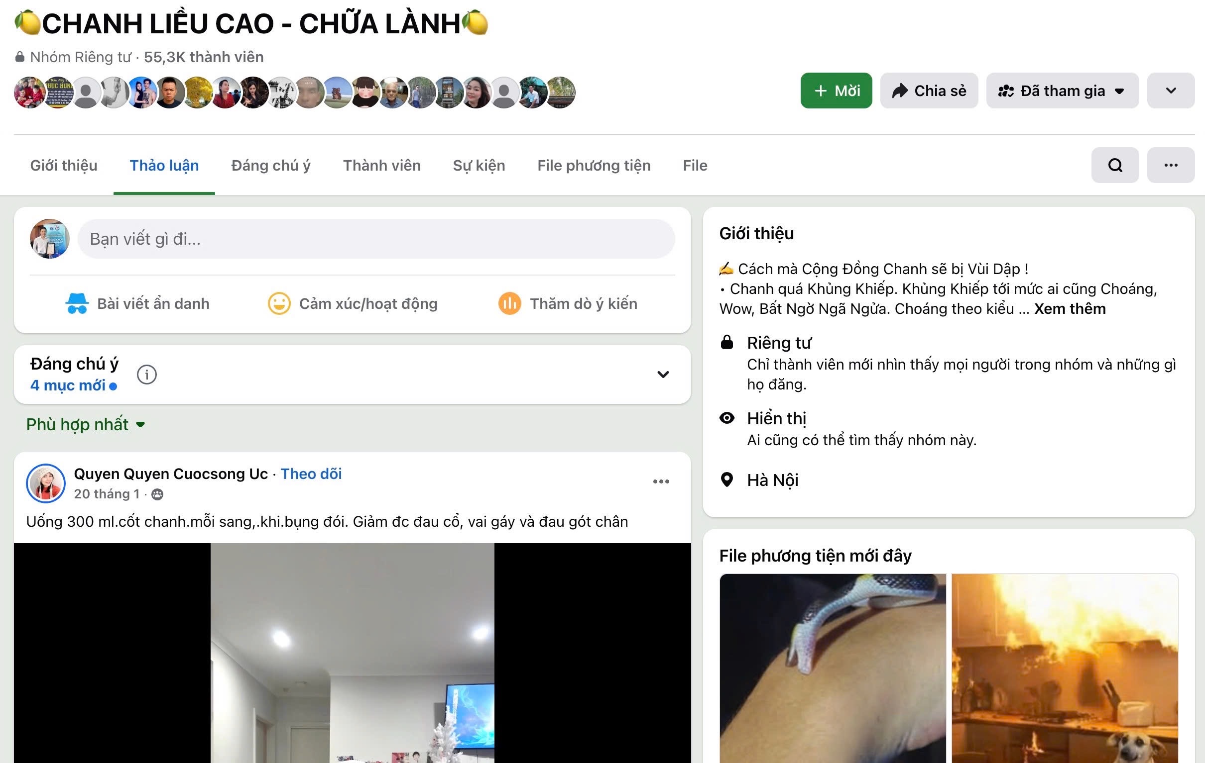 Ma trận chữa ‘bách bệnh’ phản khoa học (Kỳ 1): Ngỡ ngàng những ‘phác đồ tự chữa lành’- Ảnh 1.