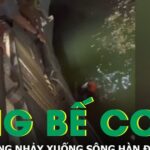 Khoảnh khắc nghẹt thở: Đang đi dạo cùng vợ con, người đàn ông nhảy xuống sông Hàn cứu người