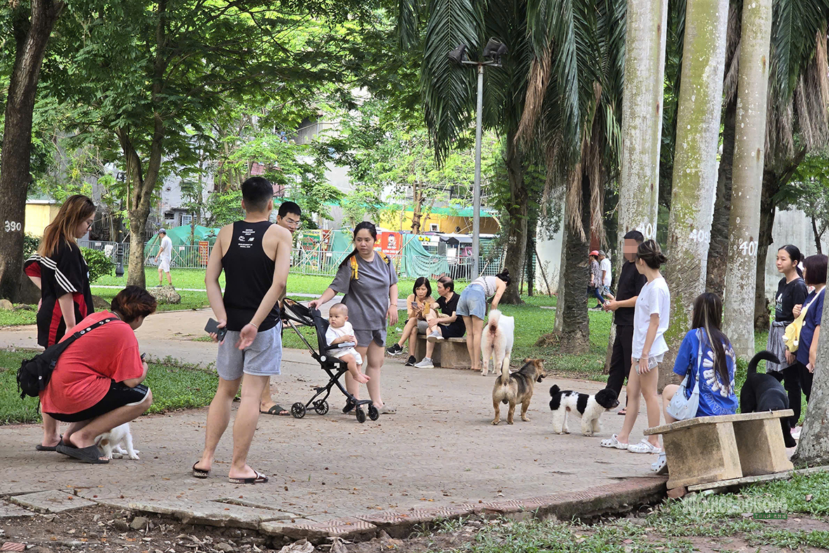 Dạo công viên trong nỗi thấp thỏm vì chó không rọ mõm- Ảnh 4.