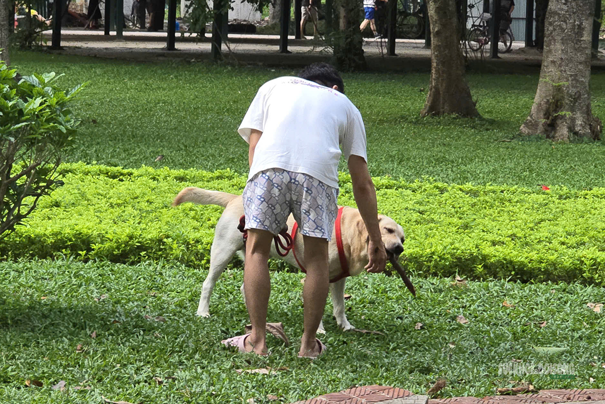 Dạo công viên trong nỗi thấp thỏm vì chó không rọ mõm- Ảnh 10.