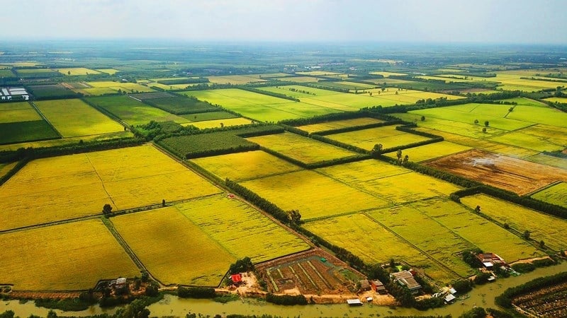 Bộ NN&MT giải đáp thời hạn sử dụng đất nông nghiệp không ghi trên sổ đỏ- Ảnh 1. Bộ NN&MT giải đáp thời hạn sử dụng đất nông nghiệp không ghi trên sổ đỏ- Ảnh 1.