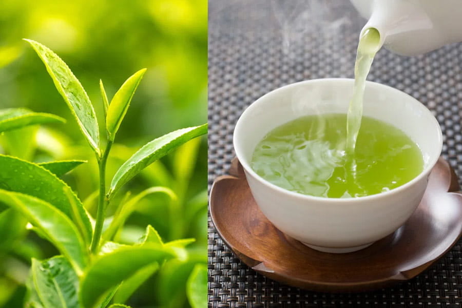 Bí quyết uống trà giúp đốt cháy calo và giảm cân nhanh hơn- Ảnh 1.
