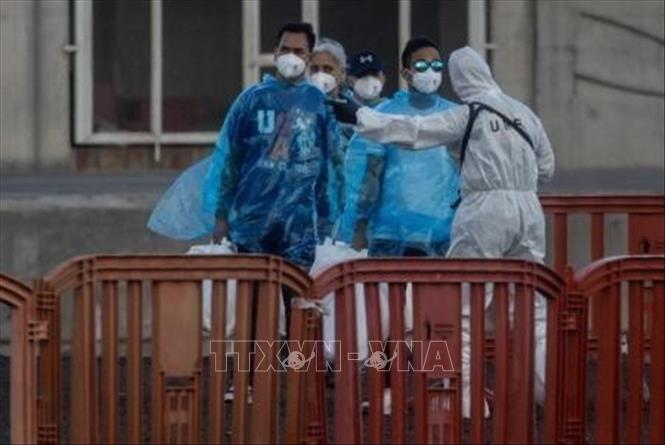 Virus Hanta: EU tăng cường chia sẻ thông tin nhằm nâng cao hiệu quả ứng phó- Ảnh 1. Virus Hanta: EU tăng cường chia sẻ thông tin nhằm nâng cao hiệu quả ứng phó- Ảnh 1.