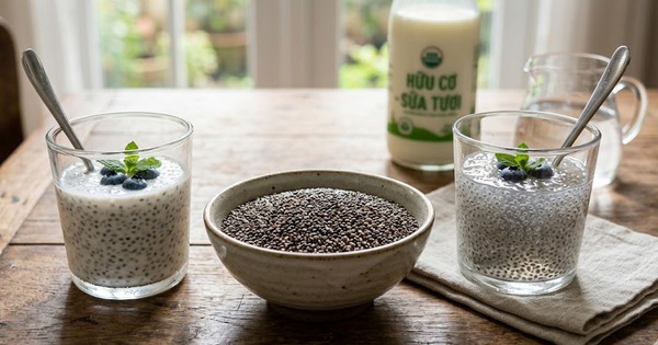 Ngâm hạt chia trong nước hay trong sữa tốt hơn?