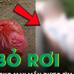 Bé trai 3,2kg bị bỏ lại giữa đêm trong bọc nilon, may mắn giữ được sự sống