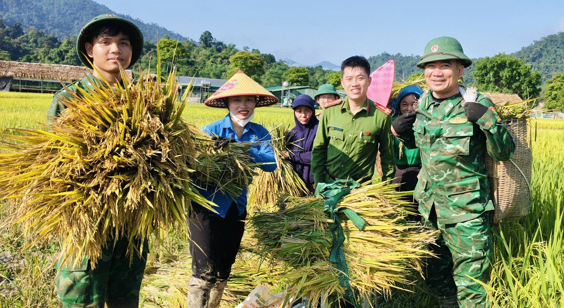 Công an, bộ đội dầm mưa giúp dân cứu lúa sau dông lốc ở Nghệ An
- Ảnh 1. Công an, bộ đội dầm mưa giúp dân cứu lúa sau dông lốc ở Nghệ An
- Ảnh 1.