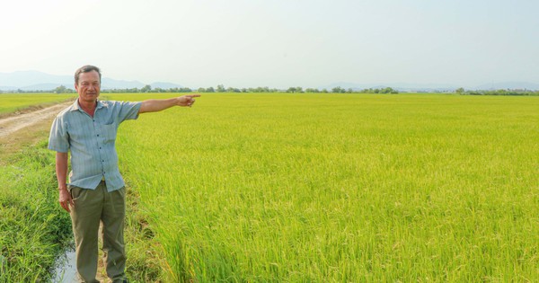 Kỳ lạ: Khu đất ở làng gốm Chăm Bàu Trúc múc lên rồi lại tự đầy
