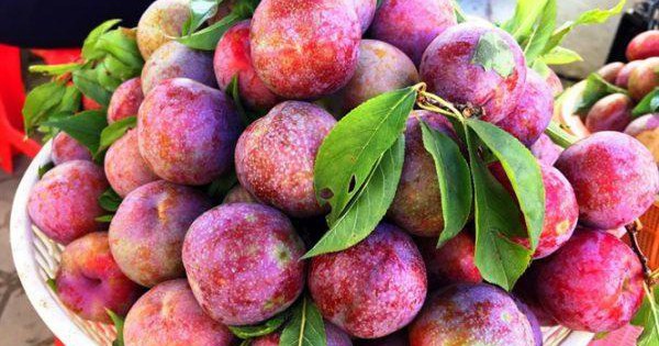 Lý do quả mận là ‘siêu thực phẩm’ tốt cho da và tóc