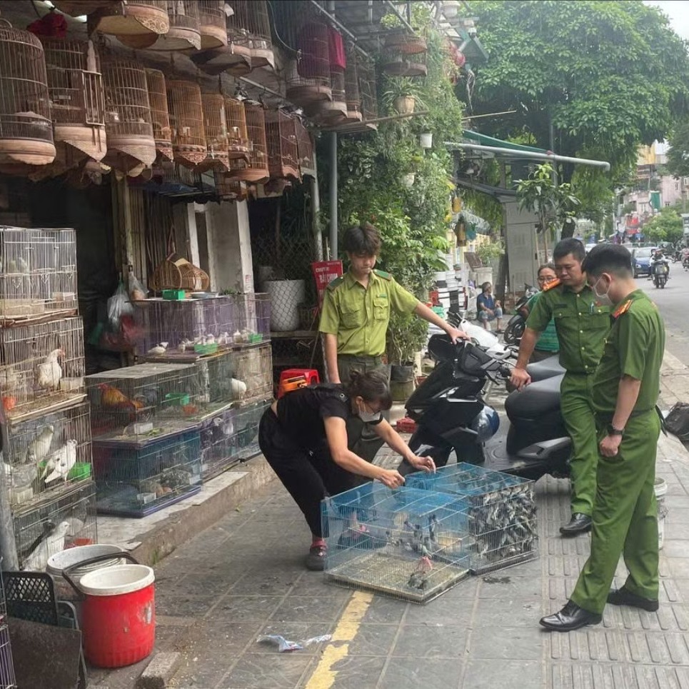 Cảnh báo nạn săn bắt chim để nuôi làm cảnh có thể bị xử phạt nặng- Ảnh 1.