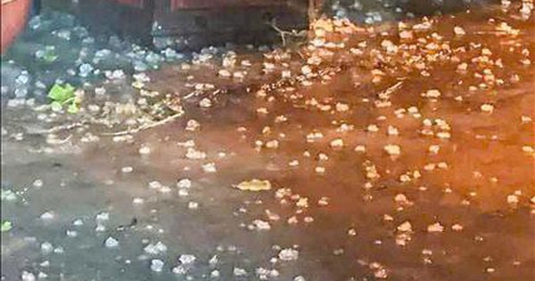 Hà Nội: Mưa đá bất ngờ tối 2/5, cảnh báo dông lốc diện rộng