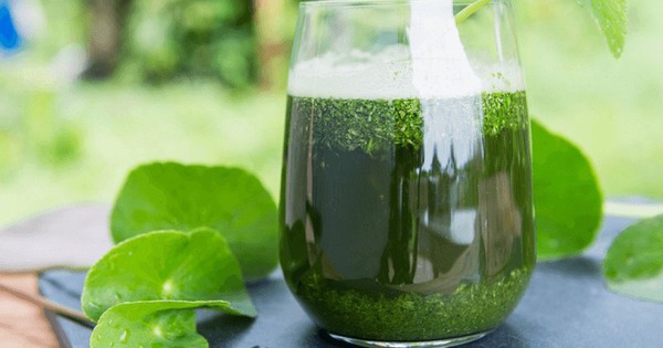 Rau má tươi hay rau má khô tốt hơn để thanh nhiệt và làm đẹp da?