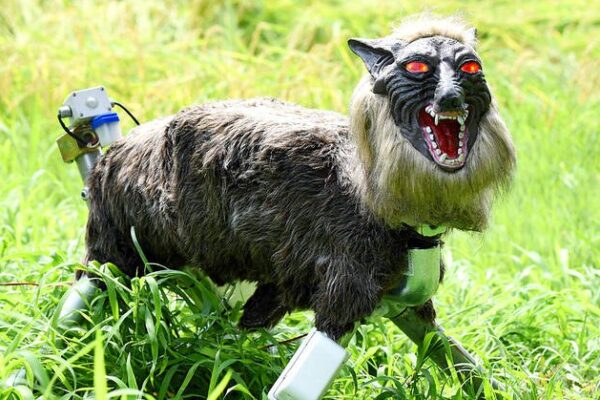 Robot ma sói bất ngờ cháy hàng tại Nhật Bản
