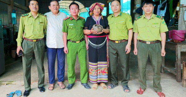 Phát hiện ‘khách lạ’ đi lạc vào vườn, người dân giao nộp tê tê quý hiếm