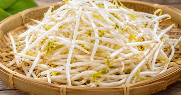 Lý do nên ăn giá đỗ vào tháng Năm