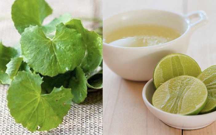 Rau má tươi hay rau má khô tốt hơn để thanh nhiệt và làm đẹp da?- Ảnh 2. Mẹo chữa nám da từ rau má