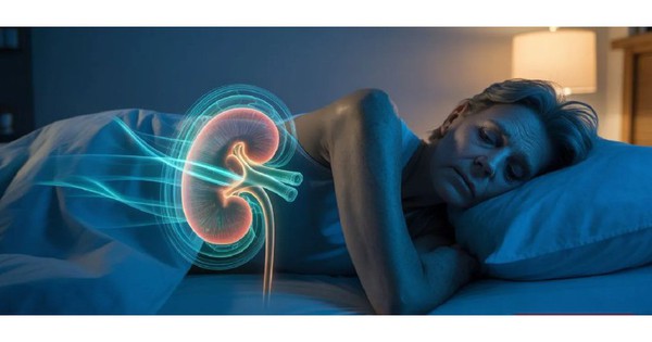 Cách bảo vệ thận khỏe mạnh theo thời gian