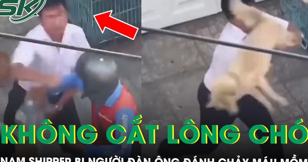 Từ chối cắt lông chó, nam shipper bị người đàn ông đánh chảy máu miệng ở TPHCM
