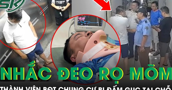 Nhắc đeo rọ mõm cho chó, thành viên Ban Quản trị chung cư bị đấm gục tại chỗ
