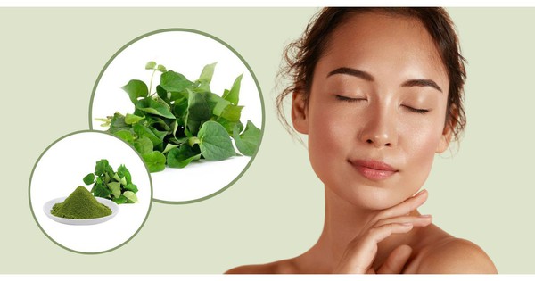 Rau má có hỗ trợ trị mụn trứng cá không?