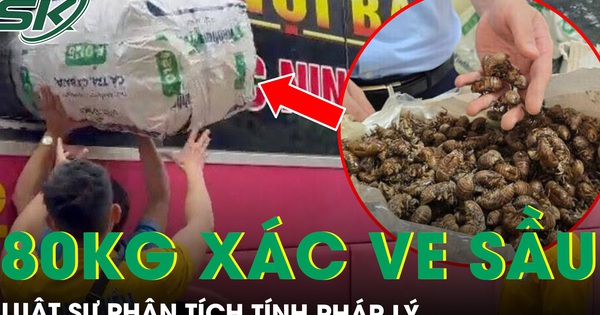 Tranh cãi vụ 80 kg xác ve sầu khô bị giữ ở Lạng Sơn: Luật sư phân tích tính pháp lý