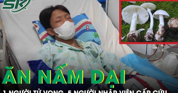 1 người tử vong, 5 người cấp cứu sau khi ăn canh nấm