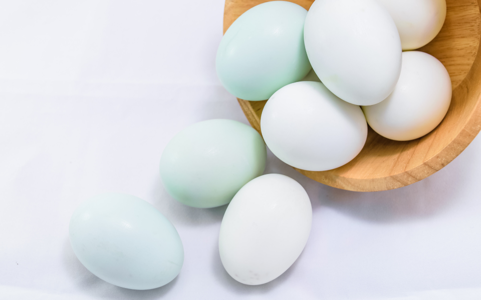 Trứng gà vỏ nâu tốt hơn và ít cholesterol hơn trứng gà vỏ trắng?- Ảnh 2.