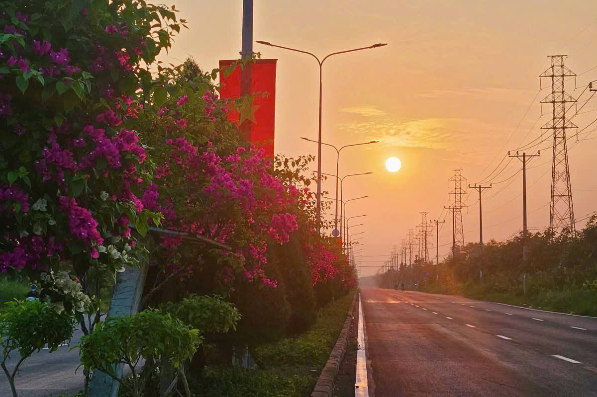 Cận cảnh cung đường xuyên rừng ngập mặn đẹp nhất TPHCM được nâng cấp lên 10 làn xe- Ảnh 9. Cận cảnh cung đường xuyên rừng ngập mặn đẹp nhất TPHCM được nâng cấp lên 10 làn xe- Ảnh 9.