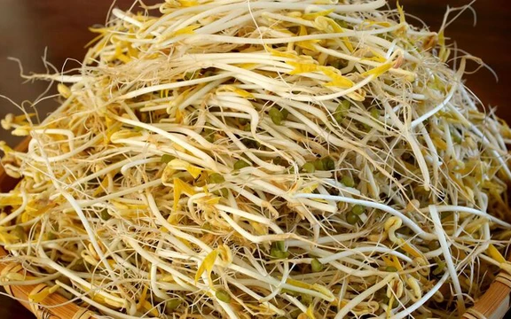 Lý do nên ăn giá đỗ vào tháng Năm- Ảnh 2.