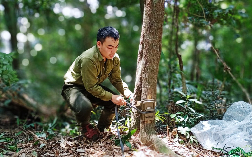 Lần đầu ghi nhận hình ảnh sói lửa quý hiếm ở Pù Hoạt- Ảnh 4.